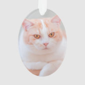 Ich bin in Form Ornament (Rückseite)