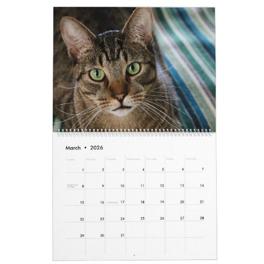 Ich bin IN KALENDER DER KATZEN-2018 durch Rebecca (Mär 2026)