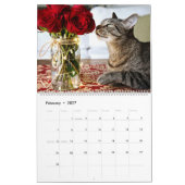 Ich bin IN KALENDER DER KATZEN-2018 durch Rebecca (Feb 2027)