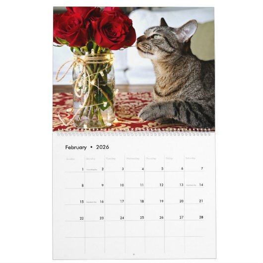 Ich bin IN KALENDER DER KATZEN-2018 durch Rebecca (Feb 2026)