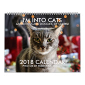 Ich bin IN KALENDER DER KATZEN-2018 durch Rebecca (Titelbild)