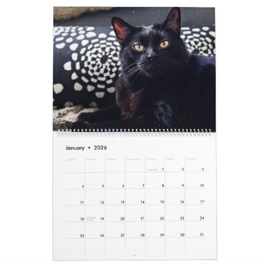 Ich bin IN KALENDER DER KATZEN-2018 durch Rebecca (Jan 2026)