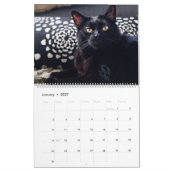 Ich bin IN KALENDER DER KATZEN-2018 durch Rebecca (Jan 2027)