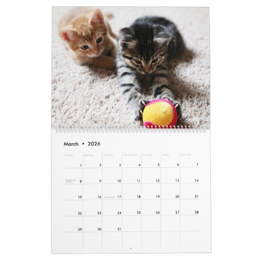 Ich bin in Katzen-und Kätzchen-selbstverständlich Kalender (Mär 2026)
