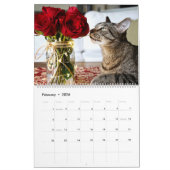 Ich bin in Katzen-und Kätzchen-selbstverständlich Kalender (Feb 2026)