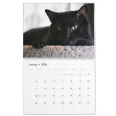 Ich bin in Katzen-und Kätzchen-selbstverständlich Kalender (Jan 2026)