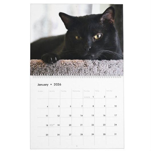 Ich bin in Katzen-und Kätzchen-selbstverständlich Kalender (Jan 2026)