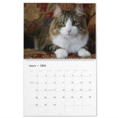 Ich bin in Katzen und Kitten des Kurses 2020 Kalen Kalender (Mär 2026)