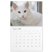 Ich bin in Katzen und Kitten des Kurses 2020 Kalen Kalender (Jan 2026)