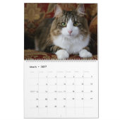 Ich bin in Katzen und Kitten des Kurses 2020 Kalen Kalender (Mär 2027)