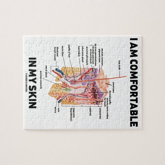 Ich bin in meiner Haut bequem (Hautschichten) Puzzle (Horizontal)