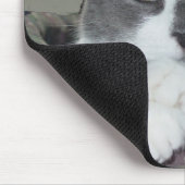 Ich bin Katze… Mousepad (Ecke)