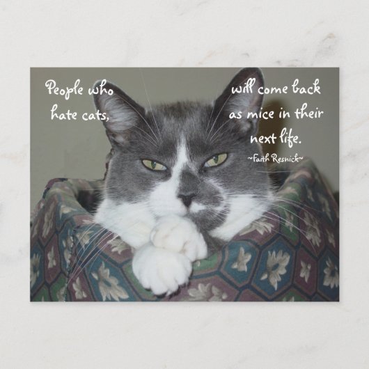 Ich bin Katze... Postkarte (Vorderseite)