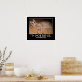 Ich bin kein angespanntes Katzenwerk Poster (Küche)