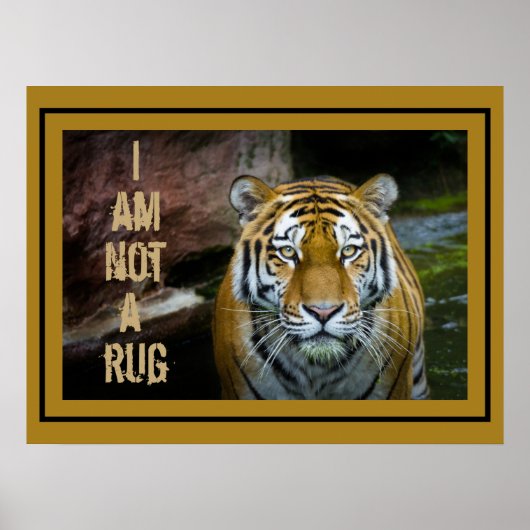 Ich bin kein Bengalischer Tiger. Poster (Vorne)