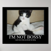 Ich bin kein Bossy Cat Artwork Poster (Vorne)