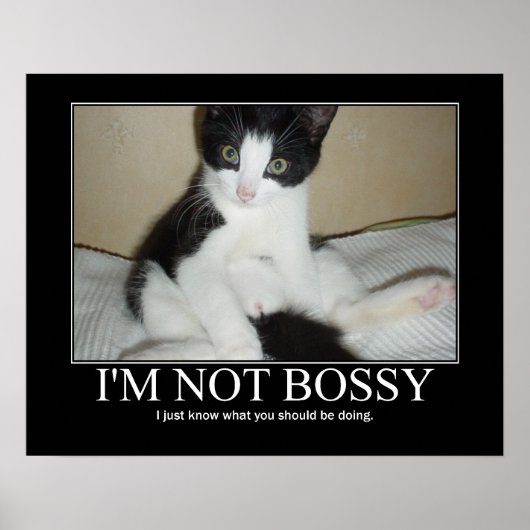 Ich bin kein Bossy Cat Artwork Poster (Vorne)