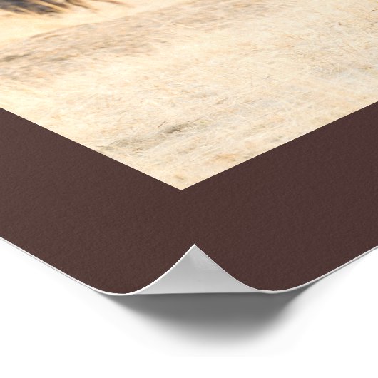 Ich bin kein hässliches, wildestes Foto mit Text Poster (Ecke)