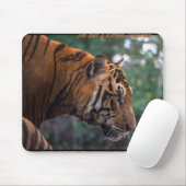 Ich bin kein Kätzchen. Waffen - der Tiger Mousepad (Mit Mouse)