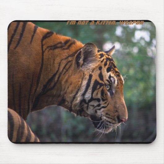 Ich bin kein Kätzchen. Waffen - der Tiger Mousepad (Vorne)