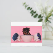 Ich bin kein Tea Cup Poodle! Postkarte (Stehend Vorderseite)