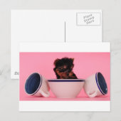 Ich bin kein Tea Cup Poodle! Postkarte (Vorne/Hinten)