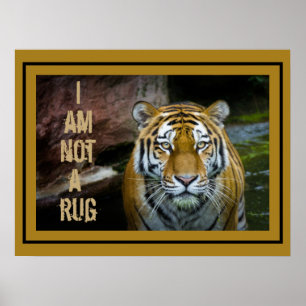 Ich bin kein Teppich Bengal Tiger Poster