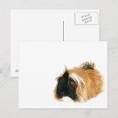 Ich bin kein Tribble Postkarte (Vorne/Hinten)