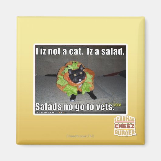 Ich bin keine Katze. Iz ein Salat. Magnet (Vorne)
