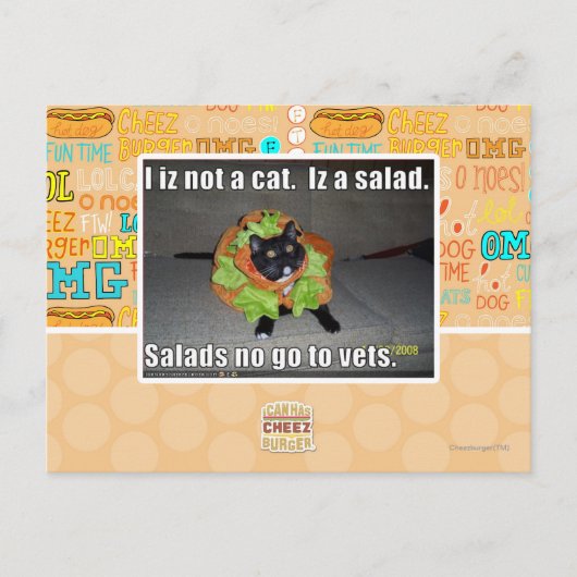 Ich bin keine Katze. Iz ein Salat. Postkarte (Vorderseite)