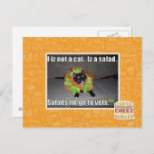 Ich bin keine Katze. Iz ein Salat. Postkarte (Vorne/Hinten)