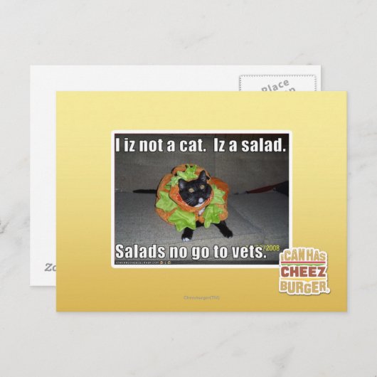 Ich bin keine Katze. Iz ein Salat. Postkarte (Vorne/Hinten)