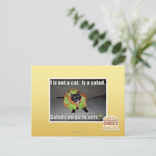 Ich bin keine Katze. Iz ein Salat. Postkarte (Stehend Vorderseite)