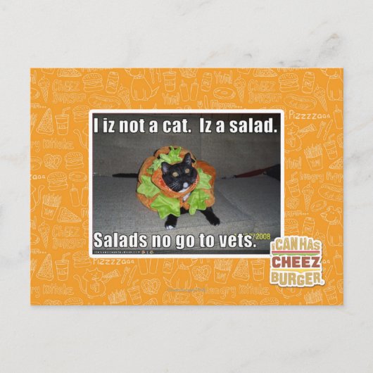 Ich bin keine Katze. Iz ein Salat. Postkarte (Vorderseite)