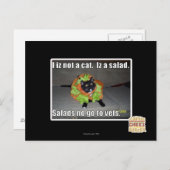 Ich bin keine Katze. Iz ein Salat. Postkarte (Vorne/Hinten)