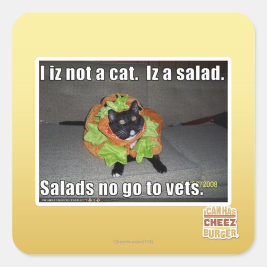 Ich bin keine Katze. Iz ein Salat. Quadratischer Aufkleber (Vorderseite)