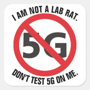 Ich bin keine Labrador-Ratte, testen Sie nicht 5G  Quadratischer Aufkleber