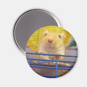 Ich bin keine Maus Magnet (Vorderseite/Rückseite)