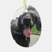 Ich bin klüger als dein ehrenwertes Foto Keramik Ornament (Hinten)