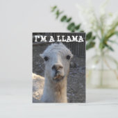 Ich bin Llama Postkarte (Stehend Vorderseite)