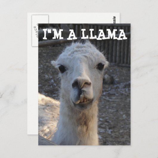 Ich bin Llama Postkarte (Vorne/Hinten)