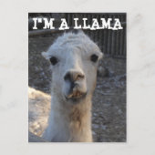 Ich bin Llama Postkarte (Vorderseite)