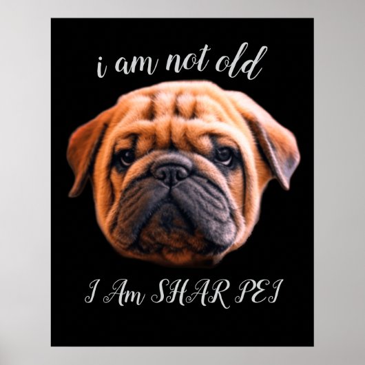 ICH BIN NICHT ALT POSTER (Vorne)