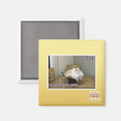 Ich bin nicht auf dem Tisch Magnet (Vorderseite/Rückseite)