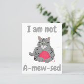 Ich bin nicht beschämt. Funny Cat chontee (Stehend Vorderseite)