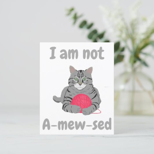 Ich bin nicht beschämt. Funny Cat chontee (Stehend Vorderseite)