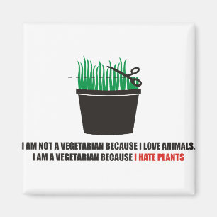 Ich bin nicht ein Vegetarier weil i-Liebetiere Magnet