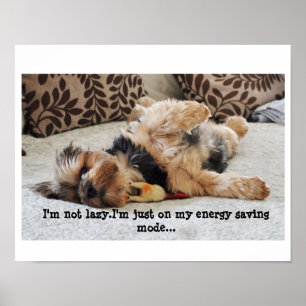 "Ich bin nicht faules" Wert-Plakat Poster