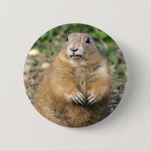 Ich bin nicht fett, ich bin ein gedämpftes Abzeich Button (Vorderseite)