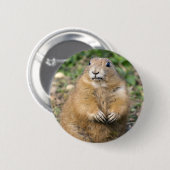 Ich bin nicht fett, ich bin ein gedämpftes Abzeich Button (Vorne & Hinten)